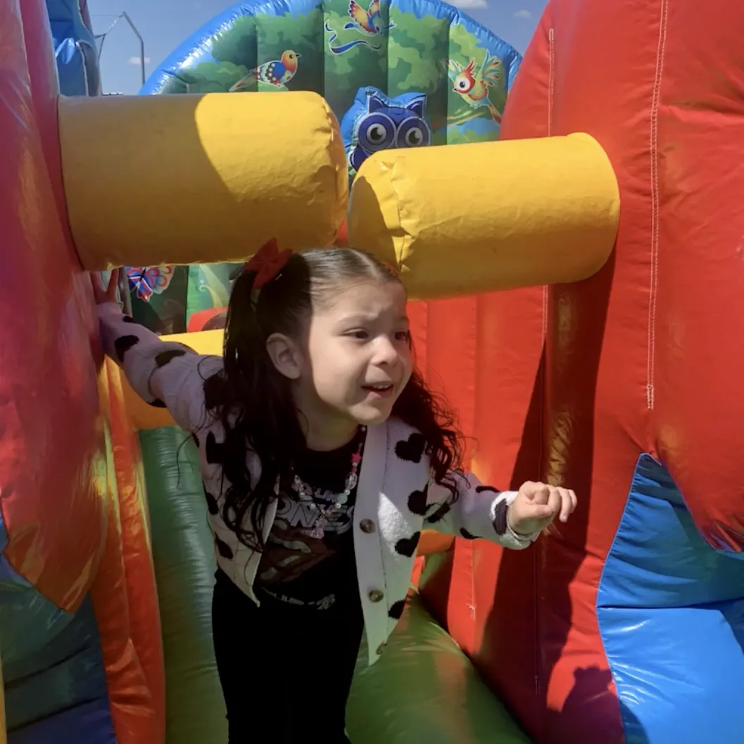 neapn-cradle-to-career